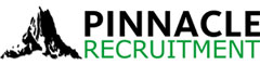 Senior Estimator Logo